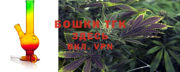 хмурый Дмитров