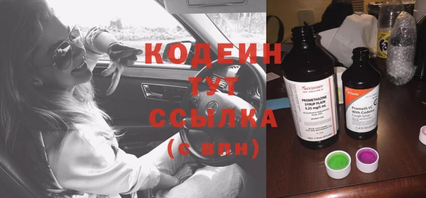 тгк Дмитриев