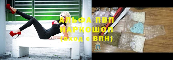 индика Всеволожск