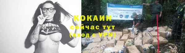 таблы Дмитровск