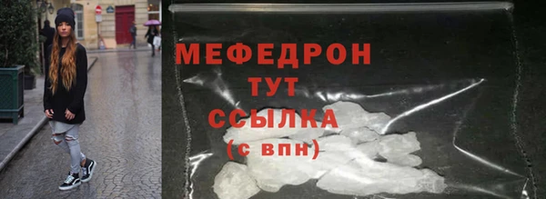 тгк Дмитриев