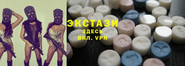 тгк Дмитриев