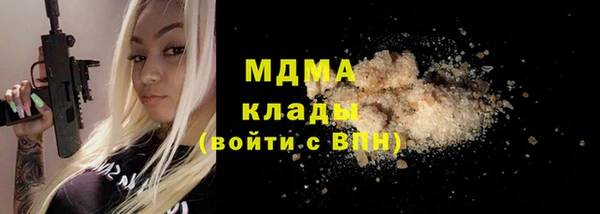 тгк Дмитриев