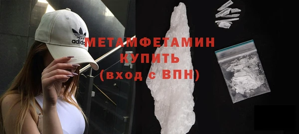 хмурый Дмитров