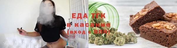 тгк Дмитриев