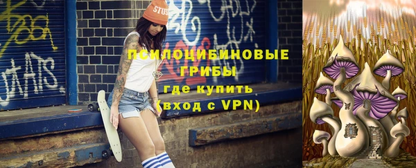 хмурый Дмитров