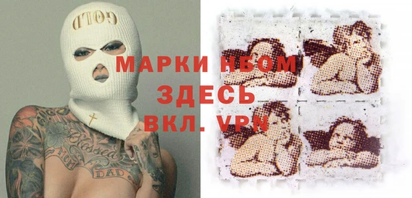 тгк Дмитриев