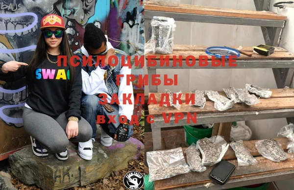 индика Всеволожск