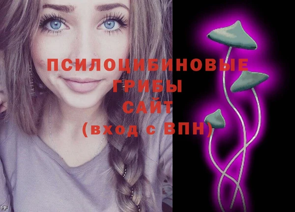 тгк Дмитриев