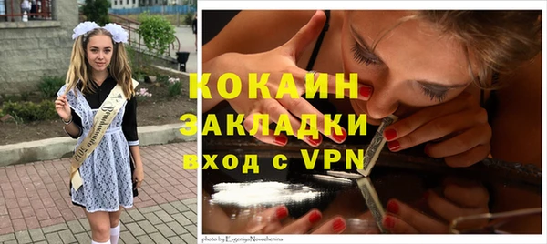 хмурый Дмитров