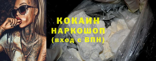 тгк Дмитриев