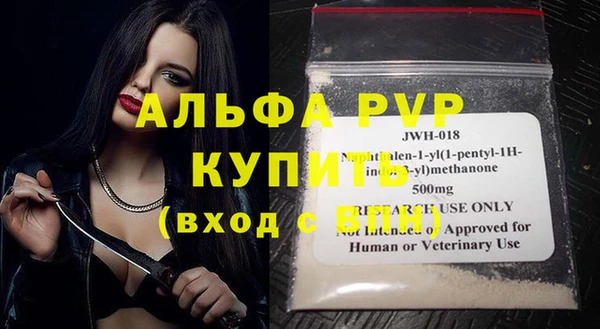 хмурый Дмитров