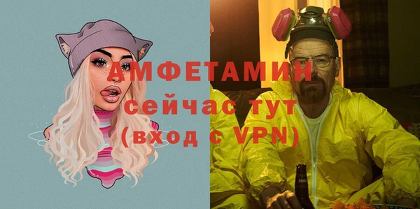 тгк Дмитриев