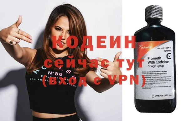 индика Всеволожск