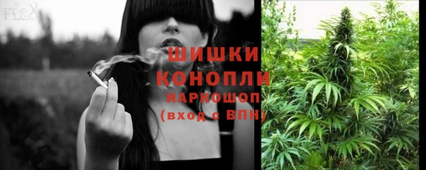 хмурый Дмитров