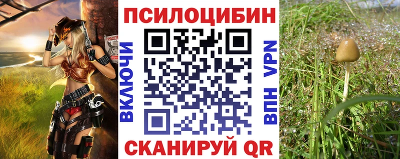 Галлюциногенные грибы Psilocybe нарко площадка клад Знаменск