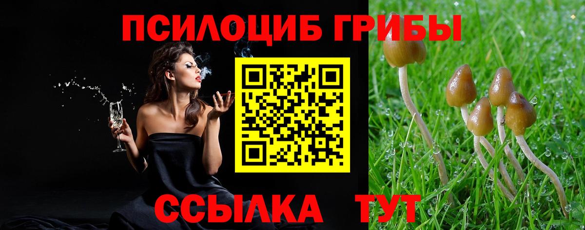Галлюциногенные грибы мицелий Знаменск